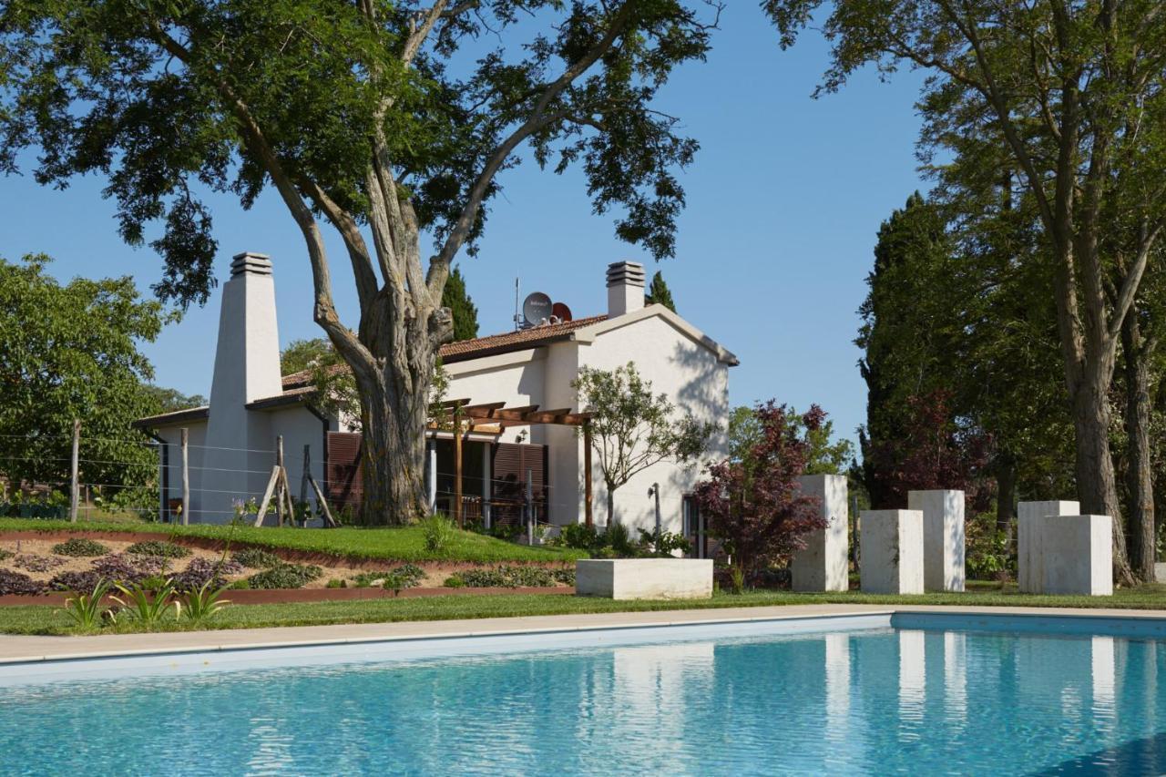 Grandono Agriturismo In Maremma Scansano Exteriér fotografie